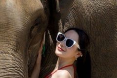 福江ななか、赤ビキニでゾウと戯れ3連発